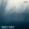 jasper, Martin Arteta & 11:11 Music Group - I Know It Hurts - Single